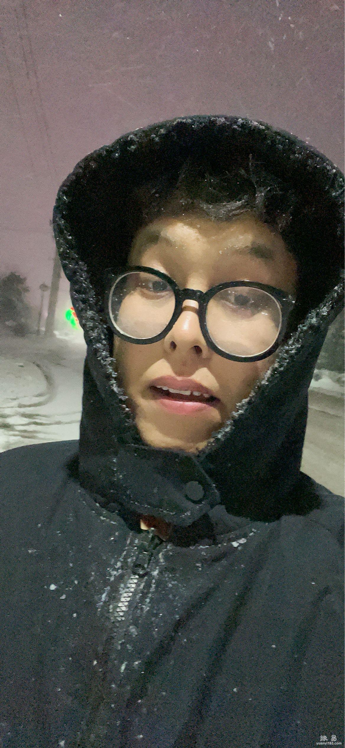 看住你的小猪的照片